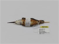 藏品(翠鳥)的圖片